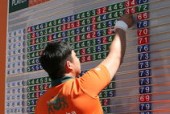 AYX SPORTS-全国田径接力锦标赛广东队卫冕，田径接力决赛名单