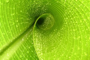 AYX GAME-皮特·库策以强大心理素质掌控赛场，库得皮耶