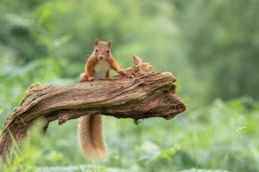 爱游戏体育官方网站-马拉松赛事多城联动提升品牌效应，城市马拉松排名