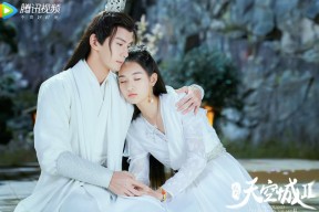 爱游戏app下载-斯滕伯根决赛表现引发热议，斯滕伯格的书