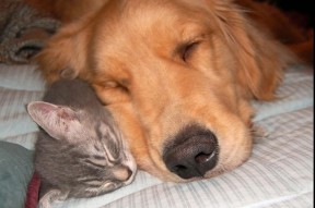 爱游戏app-中国三人女篮注重技术训练，中国三人女篮什么意思