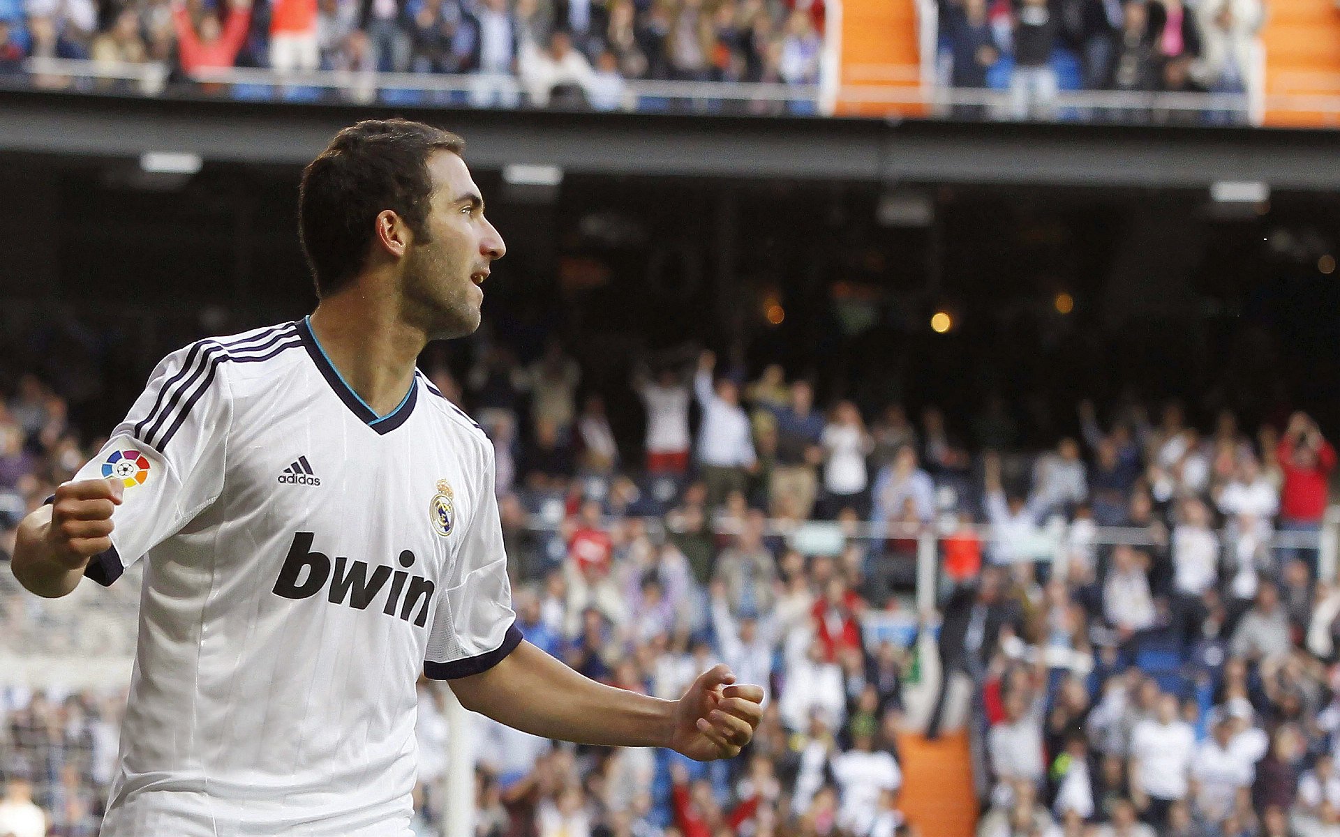 “四川省体育馆:自由搏击赛事,选手们展开血脉喷张的极限对抗!”