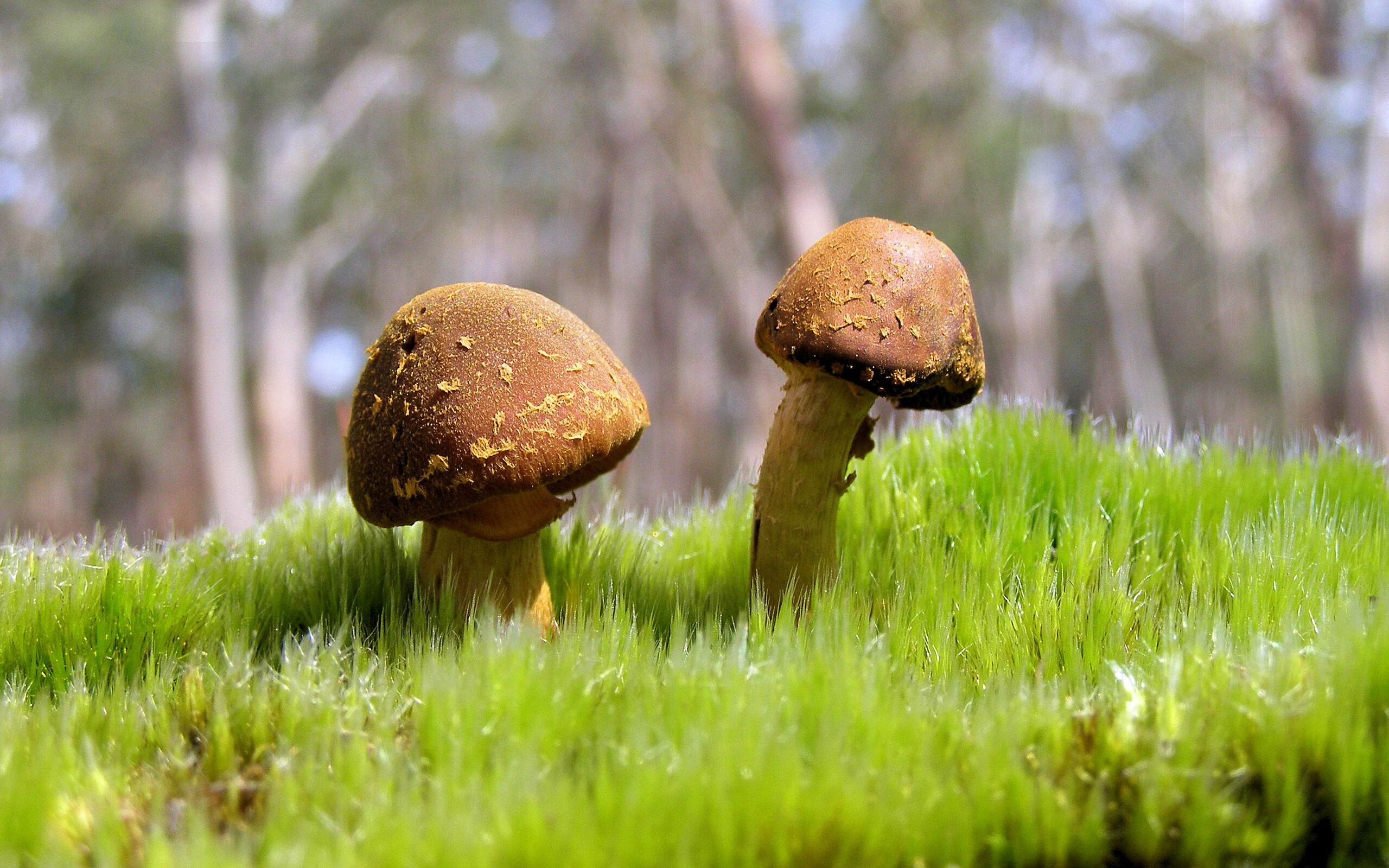 国际热身赛中国队爆冷 球迷情绪陷入低谷,国家队热身赛