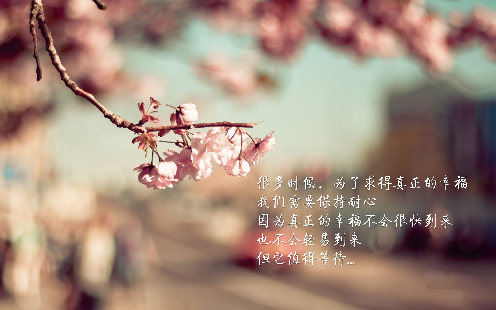 战队心理咨询室启用为选手减压保驾护航,战队心理辅导师简介