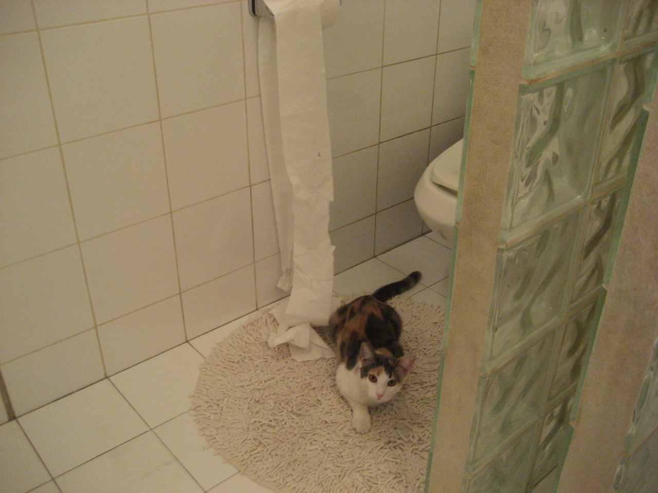 斯图加特后场稳固保护门将不受威胁,斯图加特0607