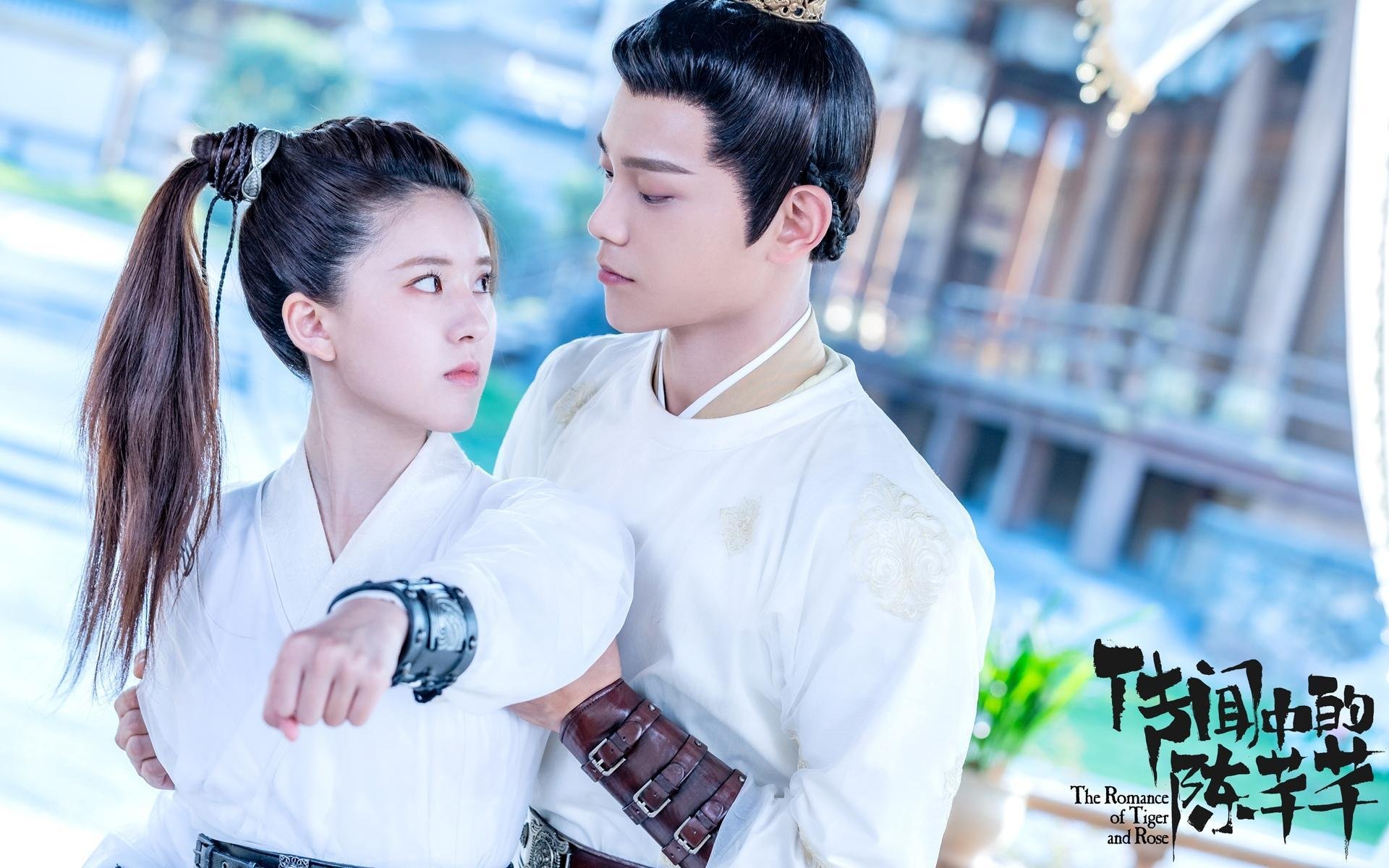 杨瀚森保持健康状态展现出色出勤率,杨瀚森身高