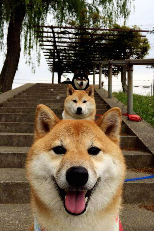 高校射箭联赛展开角逐 展现传统魅力,高校射箭比赛