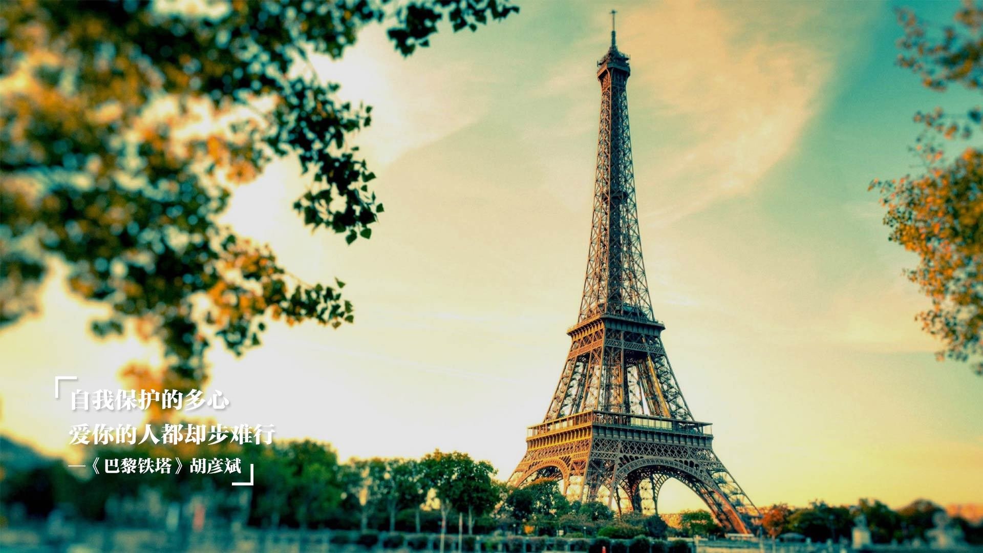 中国足球联赛视频裁判系统全面覆盖关键赛事,中国足协官网裁判员系统