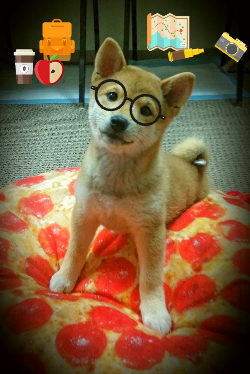 以足球为载体的健康生活理念深入人心,普及全民运动,以足球运动为主题的绘画