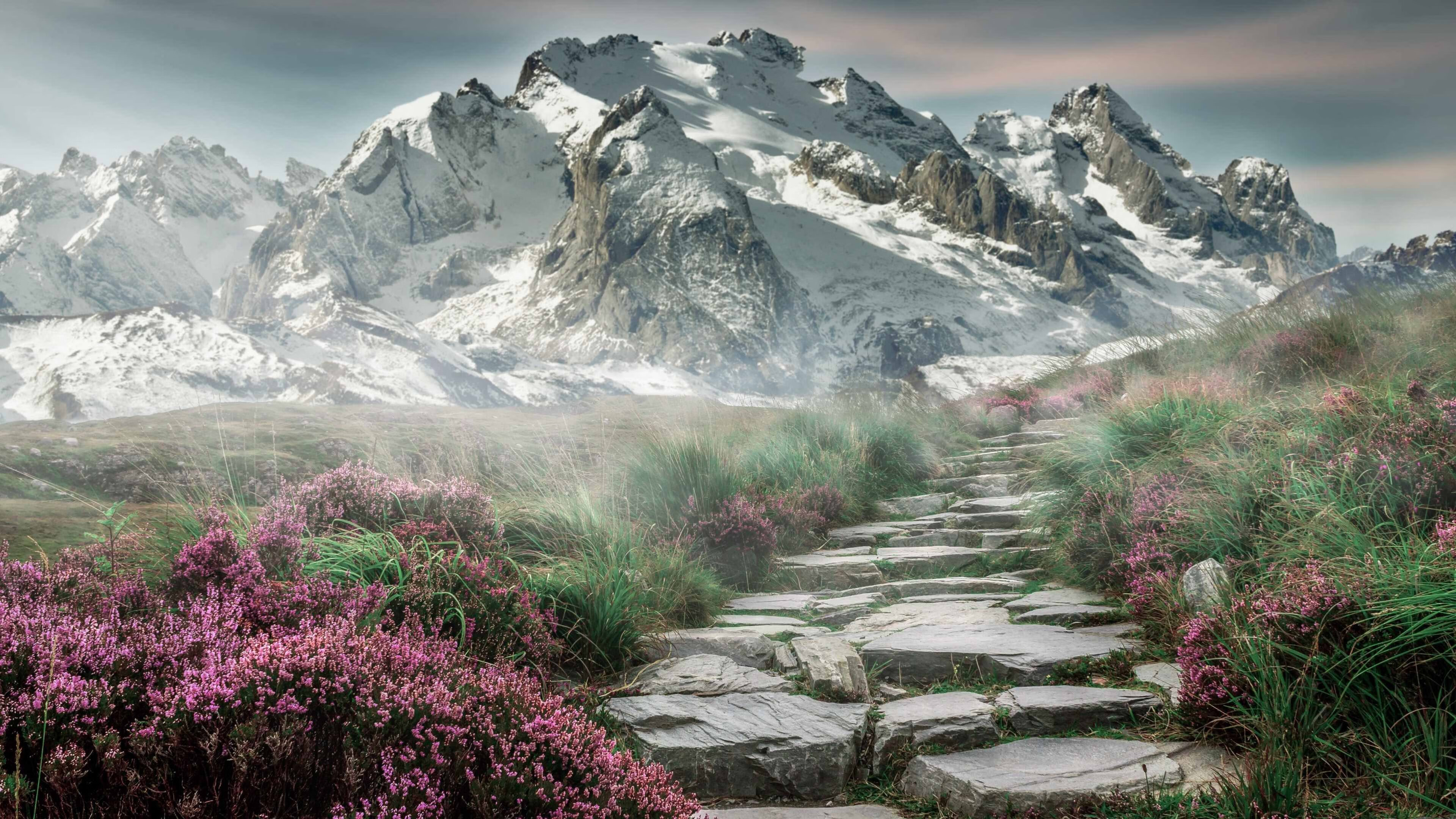 南非羚羊队的反击战术:他们每次进攻都打得精准而犀利,南非大羚羊主要分布哪里