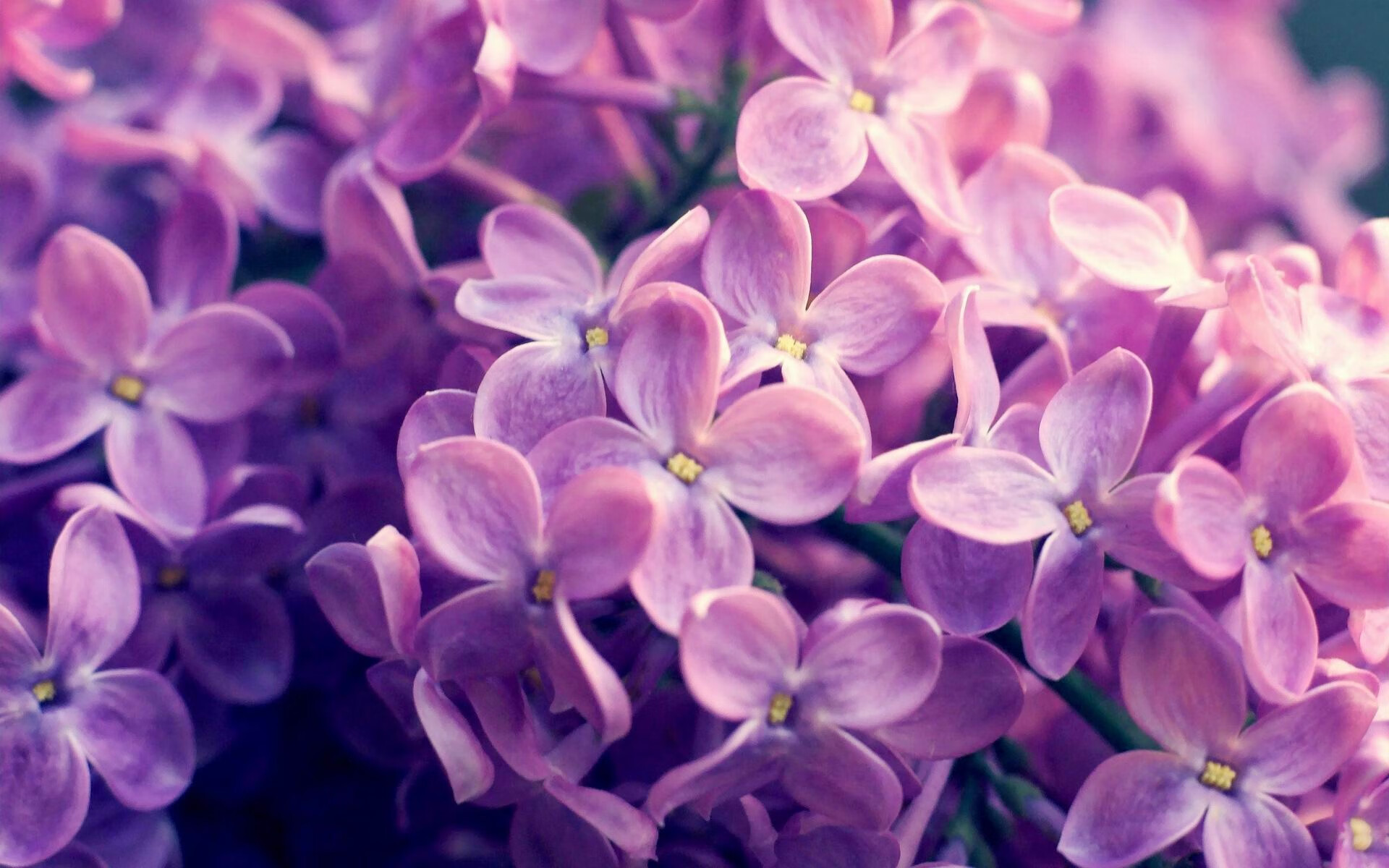 卢旺达女篮在国际舞台上崭露头角,体育水平持续提升