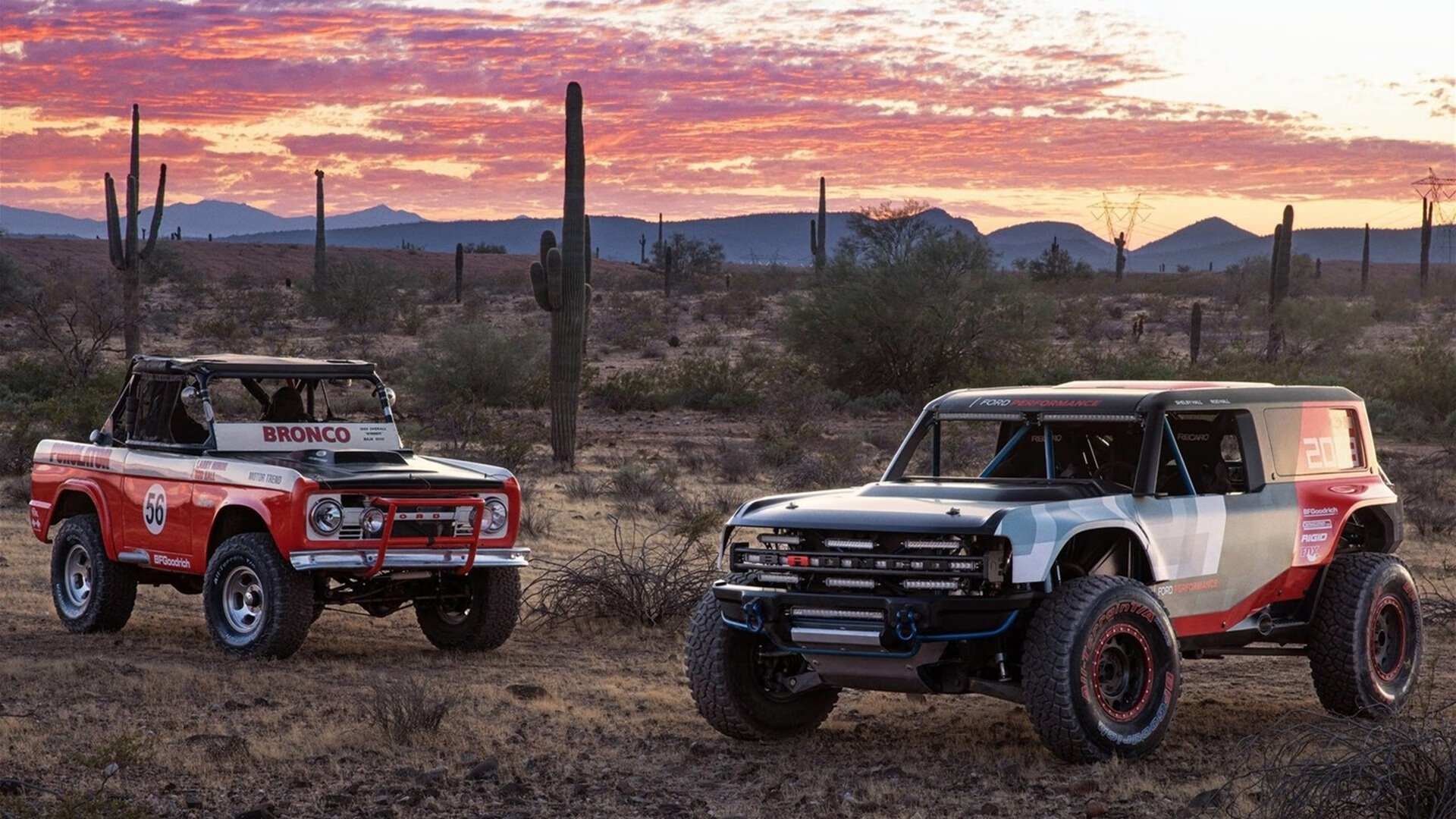张伟丽接受央视专访谈未来目标,张伟丽再度发声