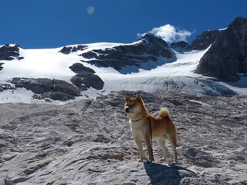 意甲大师级技艺:极致传控引领潮流,意甲中场传球大师