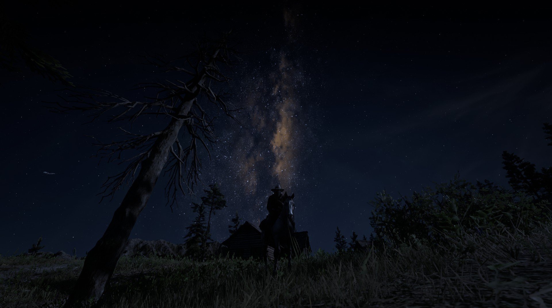 职业联赛推出球迷创作计划鼓励原创表达参与,球迷标语